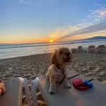 Lisa Nagy Beckner - @lisaintheok - Instagram
