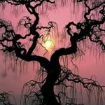 Lisa Becton - @lbecton2022 - Instagram