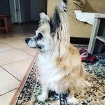 Lisa beer - @lisabeer816 - Instagram