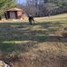 Lisa Baesley - Facebook