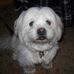 Lisa Begin - Facebook