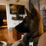 Lisa Begin Brideau - @beginbrideau - Instagram