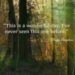 Lisa Beland - @lisabeland - Instagram