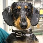Lisa Belk - @belkie10 - Instagram