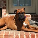 Lisa Hagan Belote - @lisabland - Instagram