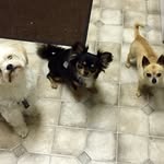 Lisa Berard - @lkberard - Instagram