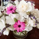 Lisa Ingrid Bergquist Findley - @lisaingridbergquist - Instagram