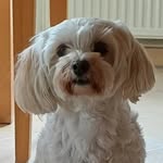 Lisa Berner - @lberner2608 - Instagram