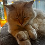 Lisa - @lisaberner2010 - Instagram