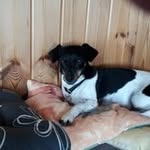 Lisa Berth - @berth934 - Instagram