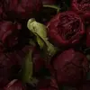 liza.bertz1 - @liza.bertz1 - TikTok