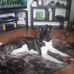 Lisa Bevan - Facebook