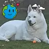 Lisa Poulton Bewley - @lisa.poulton.bewl - TikTok