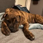 Lisa Bicknell - @ljb_72 - Instagram