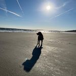 Lisa Bicknell - @mainegirl79 - Instagram