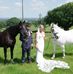 Lisa Bicknell - Facebook