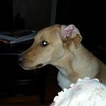 @lisa_bigler - Instagram