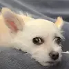 Lisa Bilbrey - @lisa.bilbrey - TikTok