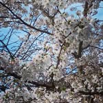 Lisa Bilby - @lisa.bilby - Instagram