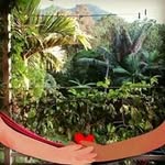 Lisa Billson - @billson.lisa - Instagram