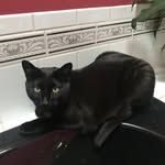 Lisa Bily - @bilylisa - Instagram