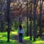 Lisa Bingaman Spellman - @lisaspellman - Instagram