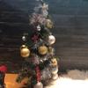 lisa.bittel - @lisa.bittel - TikTok