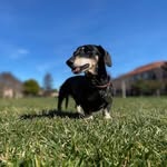 Lisa Bittner - @lisabittner - Instagram