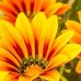 Lisa Bittner - Facebook