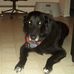 Lisa Bittner - Facebook