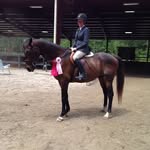 Lisa Bittner - @bittner867 - Instagram