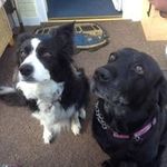 Lisa Blakemore - @lblakemore4 - Instagram