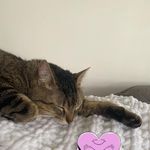 Lisa Blakey - @lisa_bla222 - Instagram
