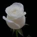 Lucia Blater - Facebook
