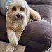 Lisa Blomquist - Facebook