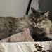 Lisa Blyth - Facebook