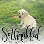Lisa Ann Smith - @lisabob1967 - Instagram