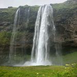 Lisa Bogert - @stevelisab - Instagram