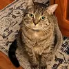 Riley - @lisa.bogert4 - TikTok