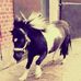 Lisa Bohl - Facebook
