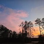Lisa Bohler - @lisabohler - Instagram