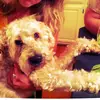 Lisa Bohme - @lisa.bohme - TikTok