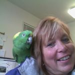 Lisa A Boland - @lisa.boland.49 - Instagram