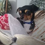 Lisa Bolding - @liserb.72 - Instagram