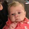 lisabonomolaphan - @lisabonomolaphan - TikTok
