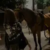 lisa_.booksss - @lisa_.booksss - TikTok