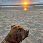 Lisa Boom Schnorr - @lb.hsv1887 - Instagram
