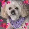lisaborchertmccla - @lisaborchertmccla - TikTok