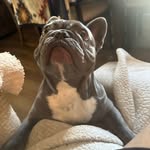 Lisa Bordeaux - @lisahill44 - Instagram