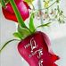 Lisa Borne - Facebook